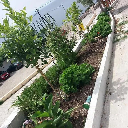 Stafylos Rooms Pensjonat Stafylos